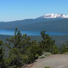 A view from the road going up