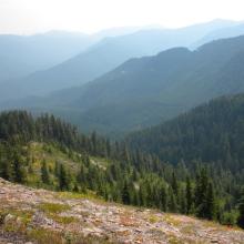 View from the summit