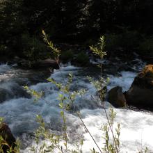 South Fork of Santiam River on the way home