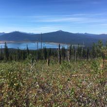 View into the valley