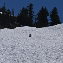 Dropping from the summit the fast and light way