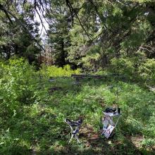 View of summit area.  