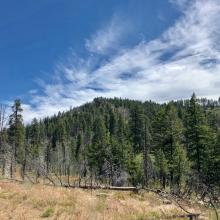 View of Pt 5635 from part way up the hill.