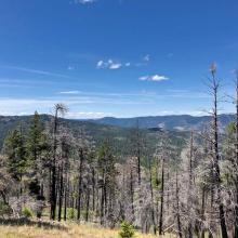 View from summit looking NW.