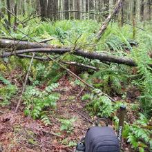 Pack containing everything I needed, at site of activation