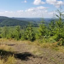 A great view to the west from the road on the way back down