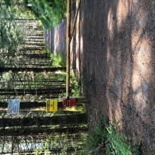 Posted No Trespassing