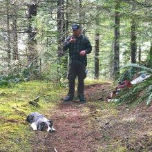 Bored puppy at the summit 