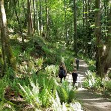 Hiking back down with the family