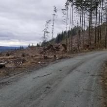 Hiking up mid-way...looking west