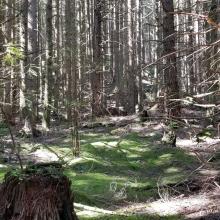 Looking south from North Butte trail - where started head off trail to summit