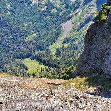 Starting out...and "looking down"  (-: