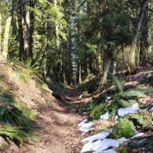 On Loren's Ridge trail