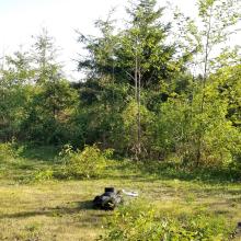 A few options, but this was the best activation area I could find.