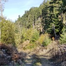 Start of road heading North to summit