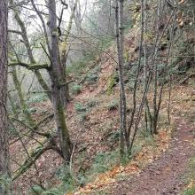 On the way back down trail