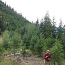 KR7W with the Huckleberry Ridge slope in the background