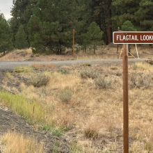 Flagtail Turn off Sign