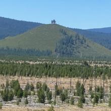 Ranger from near Davis Lake