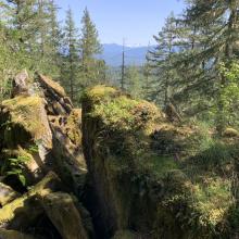 Summit of Young Love