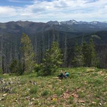 View east from summit. Rugged Bitterroot Mtns