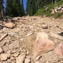 Characteristic sections of the High Clearance Road