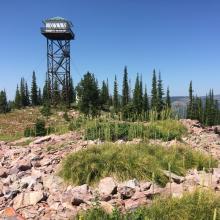 Mineral Pk Lookout  - View to North