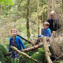 Scrambling over downed trees