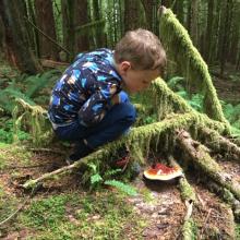 Stopping to explore the scenery