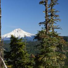 Mt Jefferson in distance